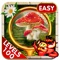 Wonder World - Hidden Objects