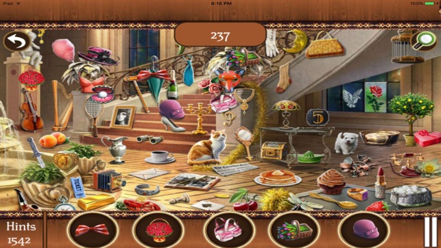 Hidden Objects:Big Home Mania