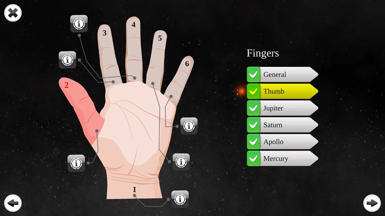 Palm Reading Premium screenshot-4