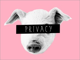 「PRIVACY」は、iMessage内で送ったり送られてきたりする写真にペタッと貼ってプライバシーを守るステッカーです。