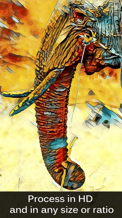 Painnt - Pro Art Filters screenshot-3