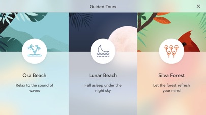 Sonus Island ミュージックボッ... screenshot1