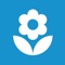 This app provides plant identification service
