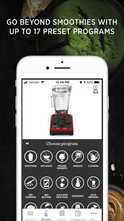 Vitamix Perfect Blend
