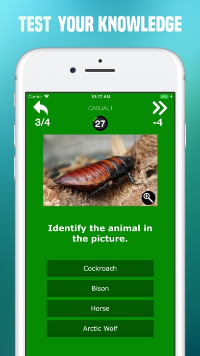 Animals Quiz - Pictures Trivia screenshot 3