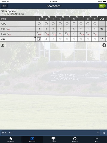 Silver Spruce Golf Course screenshot 3