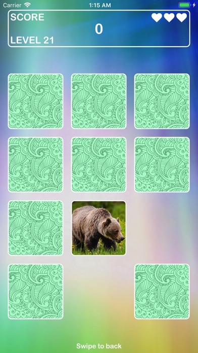 Crazy Animals Memory Cards screenshot 3