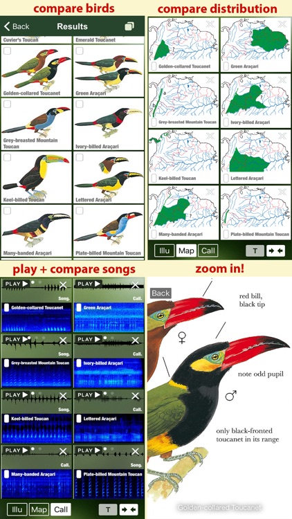 All Birds Colombia field guide by Mullen & Pohland GbR