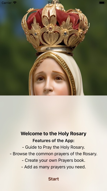 The Holy Rosary