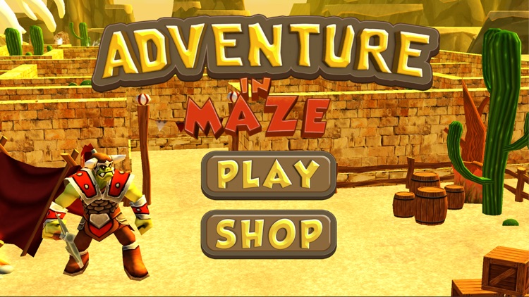 Adventure in Maze