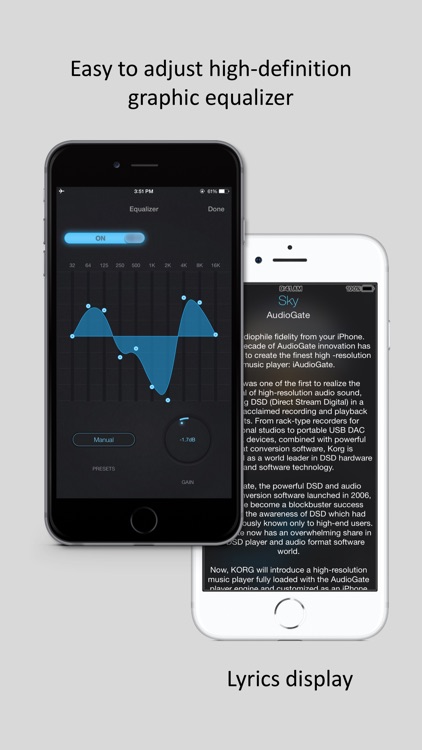 iAudioGate