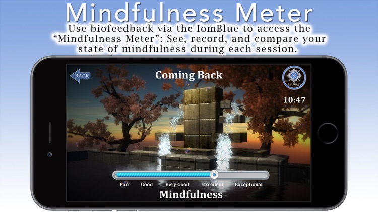 Mindfulness Meditation with Tara Brach, Phd.