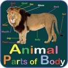 Animal Parts of Body Names