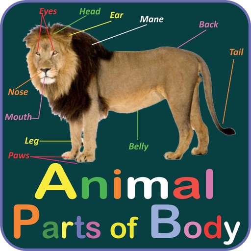 Animal Parts of Body Names Icon