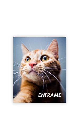 Enframe · 带壳截图