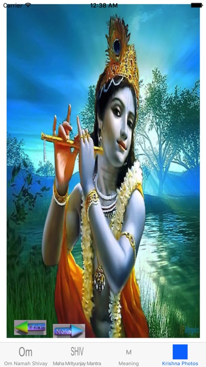 Om Namah Shivaya Mantra Audio screenshot-3