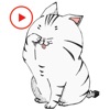 Animated Little Cat Stickers