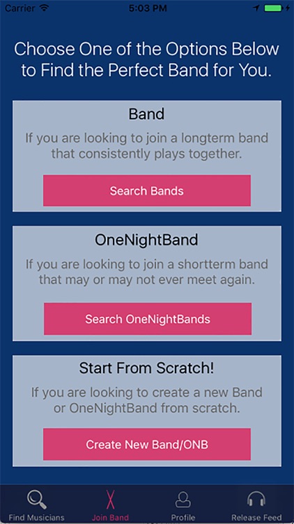 One Night Band screenshot-3