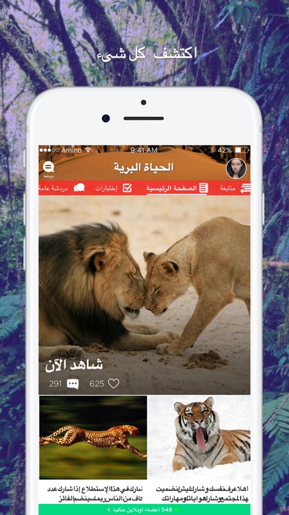 الحياة البرية Amino