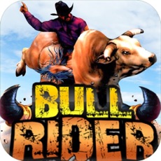 Activities of Bull Rider : Bull Riding Race