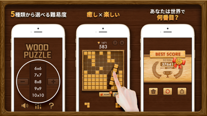 Wood Block Puzzle ZIG screenshot 2