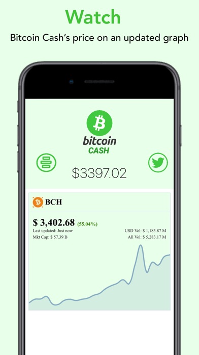 Bitcoin Cash - BCH screenshot 3