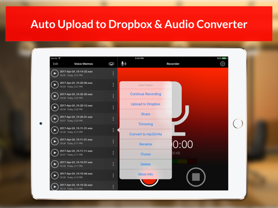 Voice Recorder & Audio Memo + screenshot 4