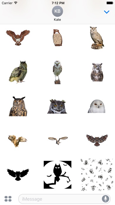 owl Cute sticker screenshot 4