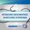 Esta aplicación permite comparar los fármacos más utilizados en enfermedades respiratorias