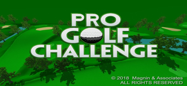 Pro Golf Challenge(圖1)-速報App