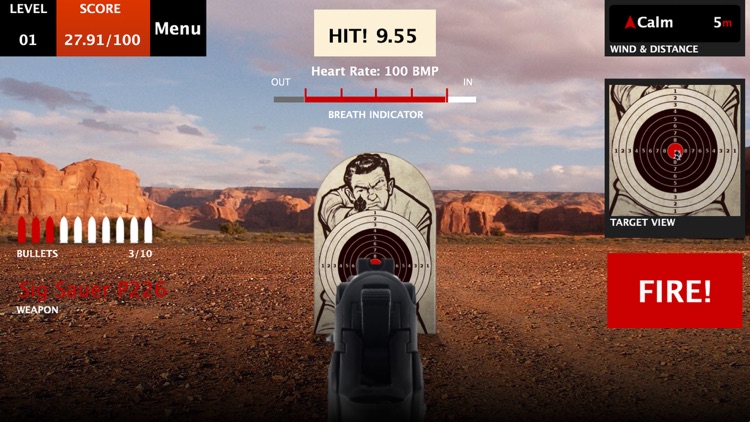 Canyon Shooting screenshot-7