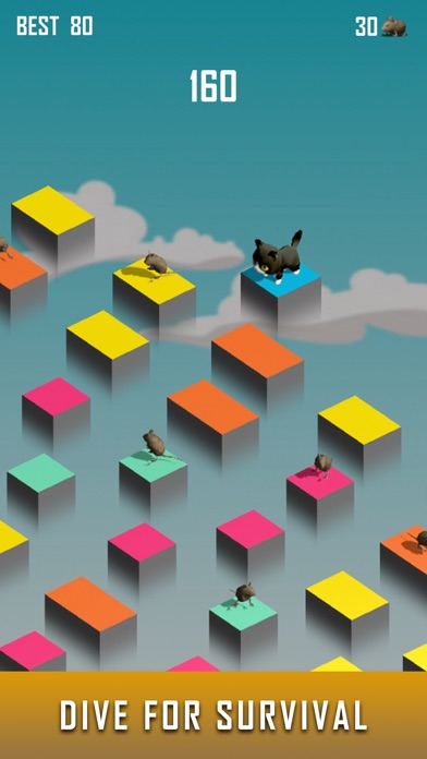 Zara Cat - New Games 2021 screenshot 2