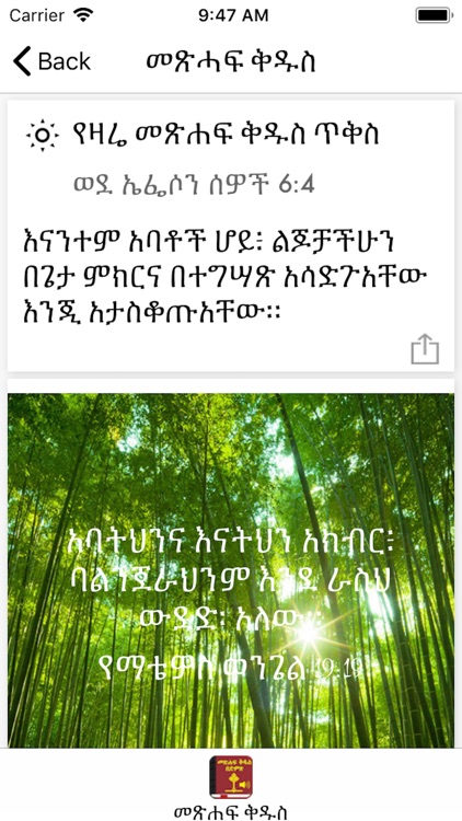 Amharic Bible with Audio