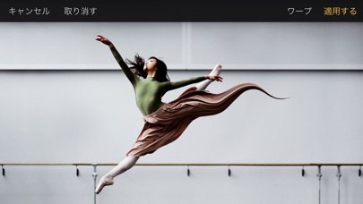 Pixelmator screenshot1