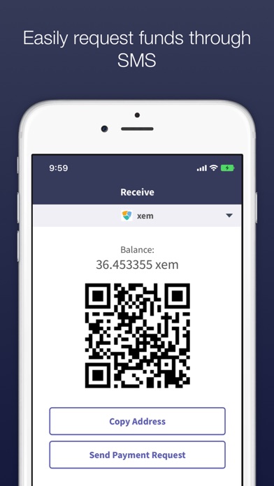 NEM Meteor Wallet Screenshot on iOS