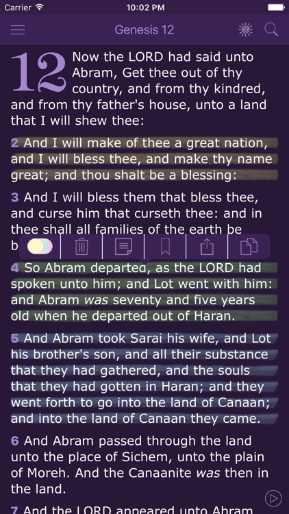 Women's Bible Audio Scripture screenshot-2