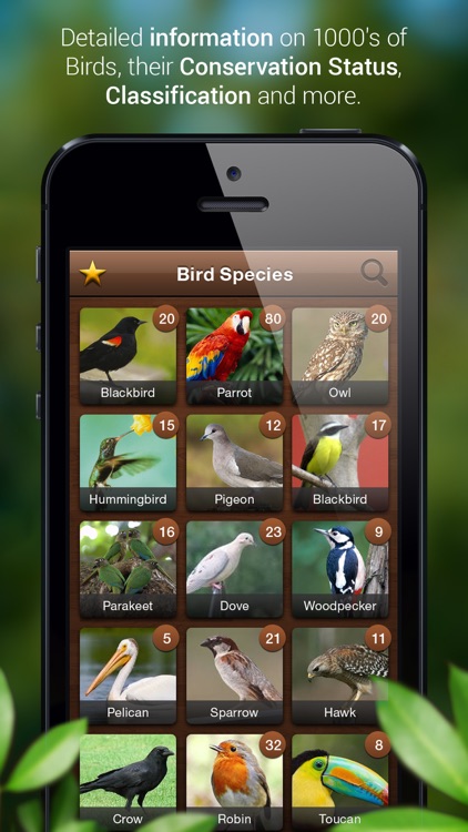 Bird Songs - Bird Call & Guide