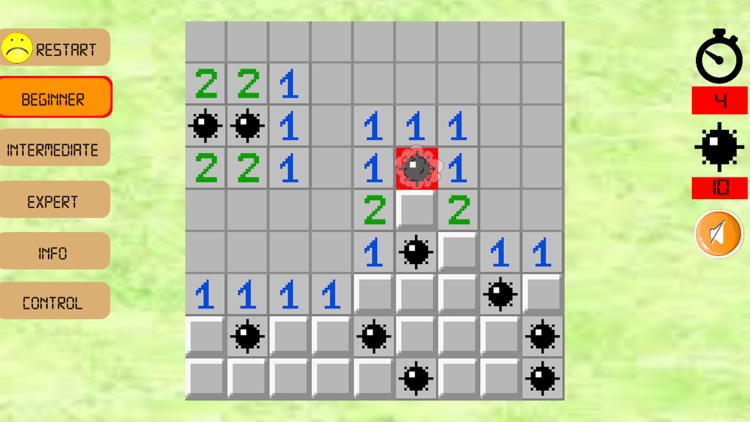 MinesSweeper Puzzle