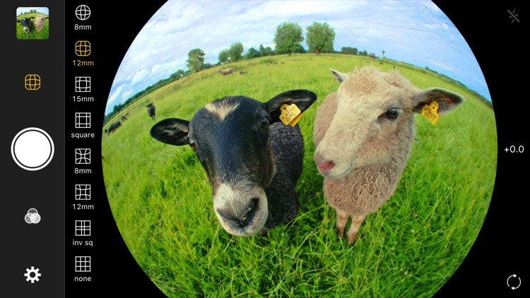 Fisheye Lens - Lomo Camera