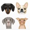 Presenting the official Petmojis' app from The Dog Agency