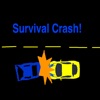 Survival Crash