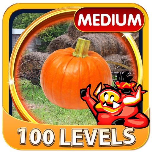 Big Barn - Hidden Object Games icon