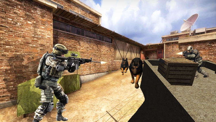 Counter Warrior Strike 3D