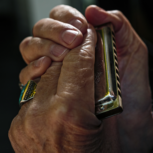 Blues Harmonica For Beginners icon