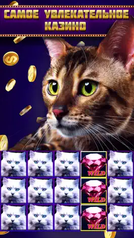 Game screenshot Casino Joy - игровые автоматы apk