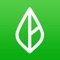 Branch Pay is live