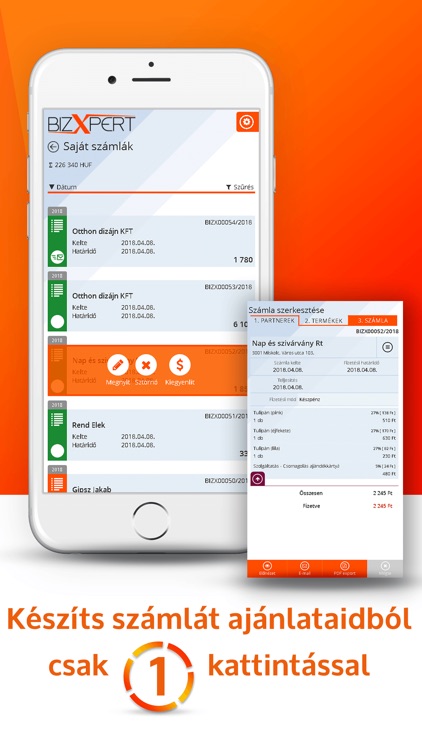BizXpert - Számlázó screenshot-4