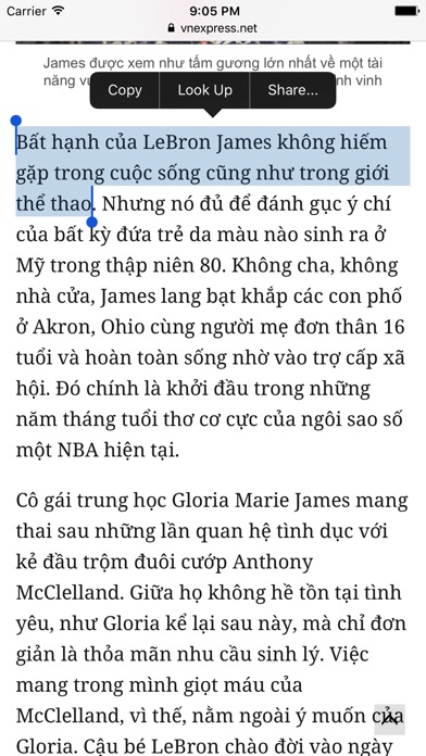 Tiếq Việt Translator screenshot 2