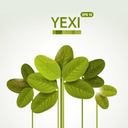 YEXI