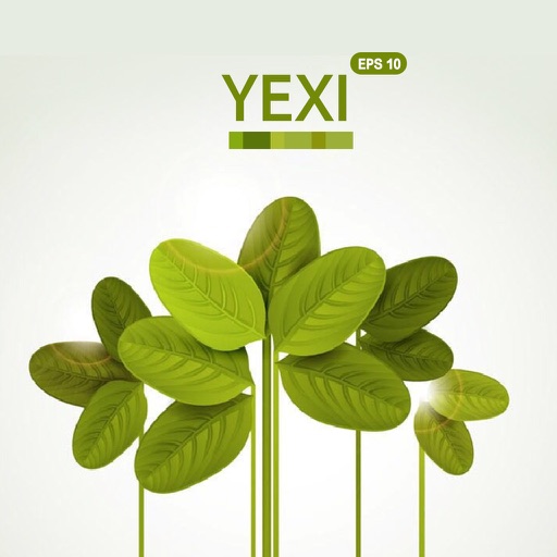YEXI